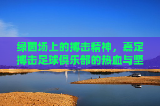 绿茵场上的搏击精神,嘉定搏击足球俱乐部的热血与坚守,绿茵搏击魂,嘉定足球俱乐部的热血坚守 绿茵场上的搏击精神,嘉定搏击足球俱乐部的热血与坚守,绿茵搏击魂,嘉定足球俱乐部的热血坚守