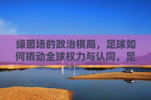 绿茵场的政治棋局，足球如何撬动全球权力与认同，足球撬动全球权力与认同的绿茵棋局