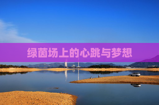 绿茵场上的心跳与梦想